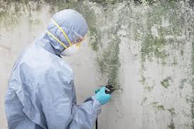 Best Mold Remediation for Healthcare Facilities in West Kittanning, PA